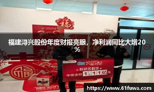 福建浔兴股份年度财报亮眼，净利润同比大增20%