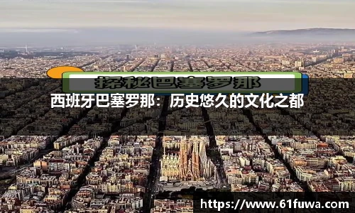 3377体育平台