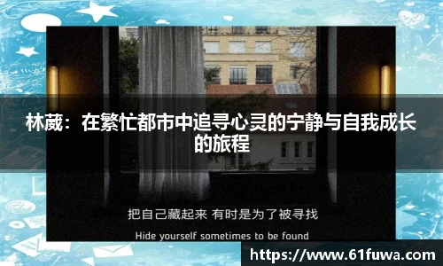 3377体育直播